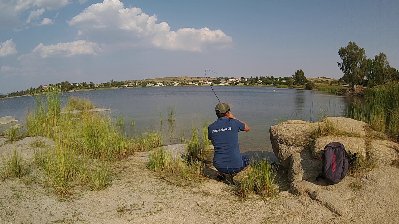 Black bass en Proserpina 2