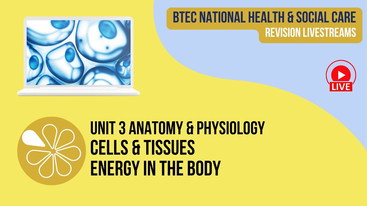 Cells, Tissues, Energy | Live Revision for HSC Unit 3 Anatomy & Physiology
