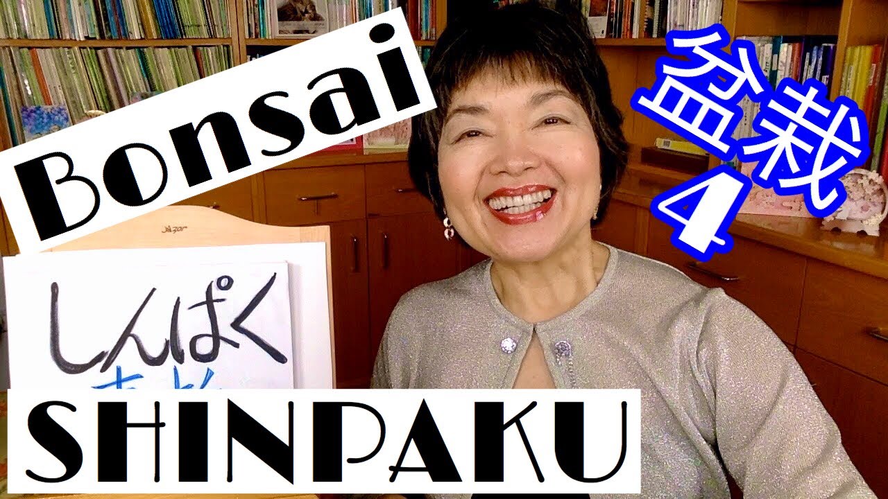 Shinpaku (Sabina Chinesis) BONSAI 4 (Español & English)