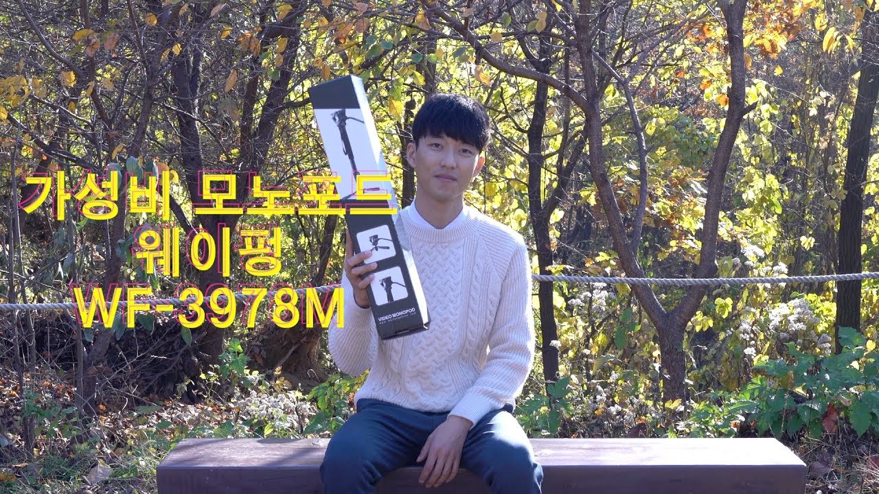 가성비 모노포드 웨이펑 WF-3978M