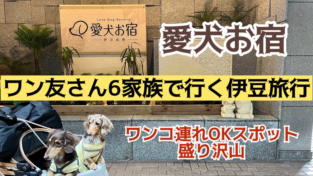 【愛犬と泊まれるお宿】