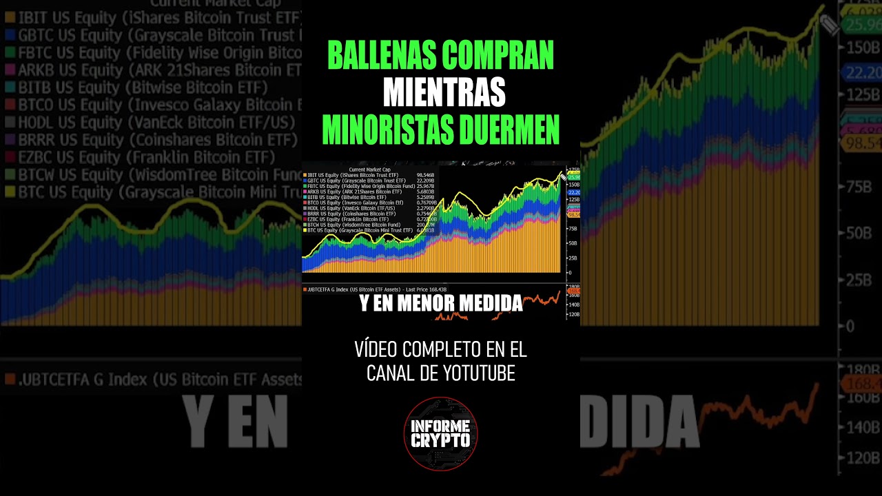 🚨As&iacute; las BALLENAS ganan mientras el minorista NO VE NADA 😱🐋