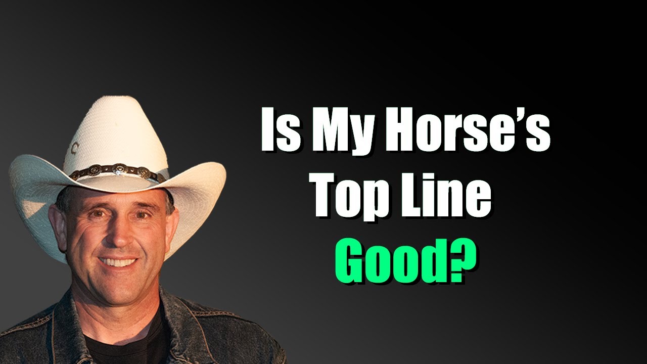 How To Evaluate Top Line In Horses As an Indicator of Health&rdquo; by Geoff Tucker