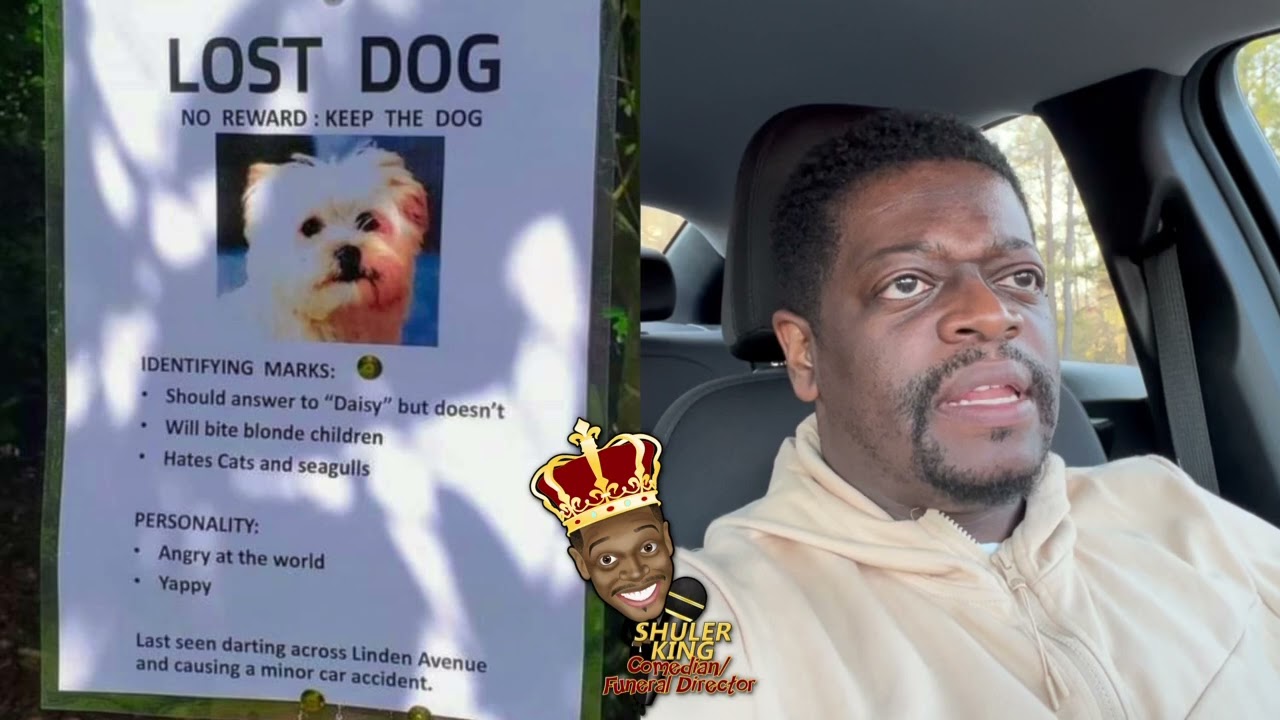 Shuler King - They Don’t Want The Dog Back