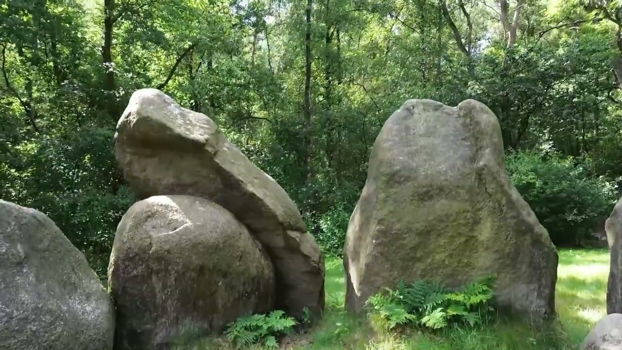 Visbecker Braut