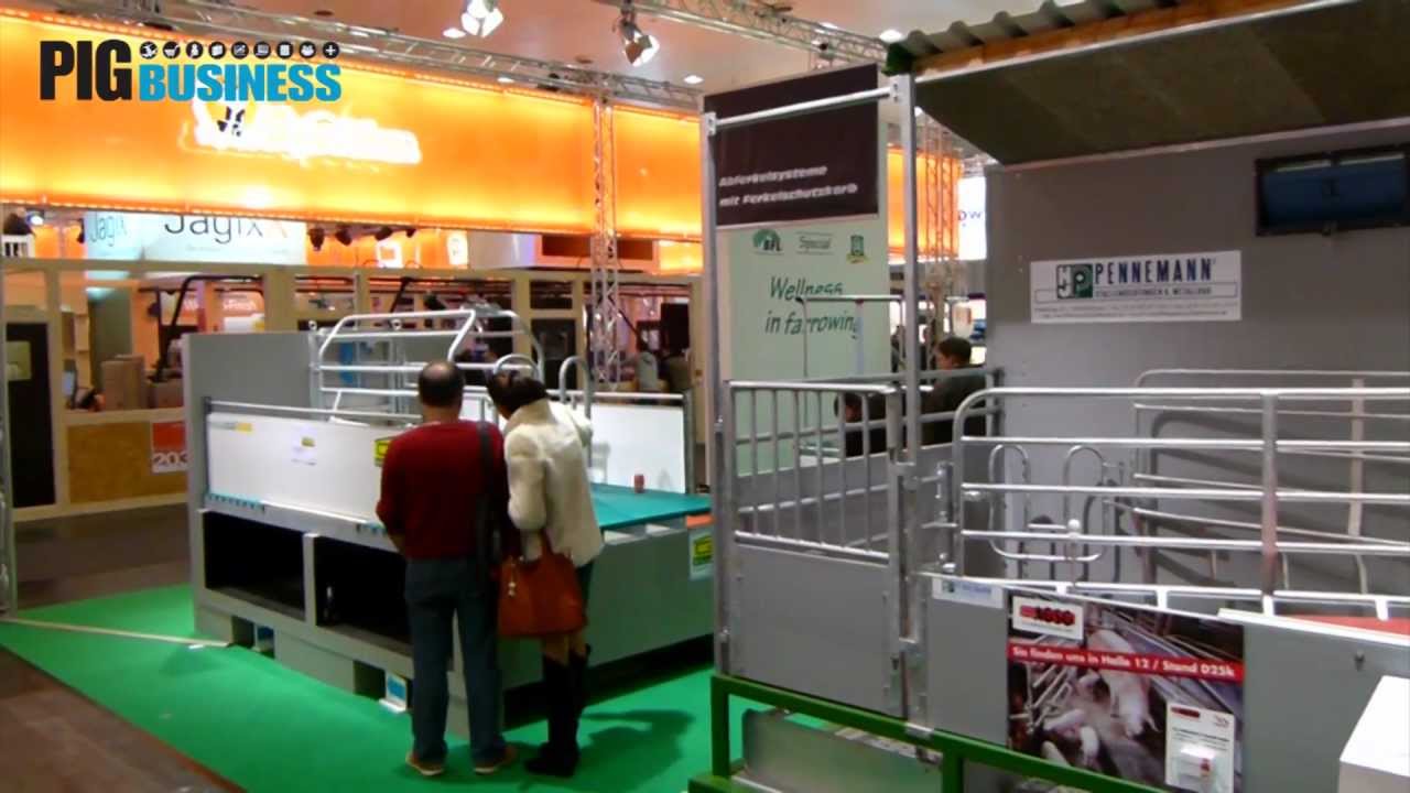 Kraamhokken met vrijloop - EuroTier 2012