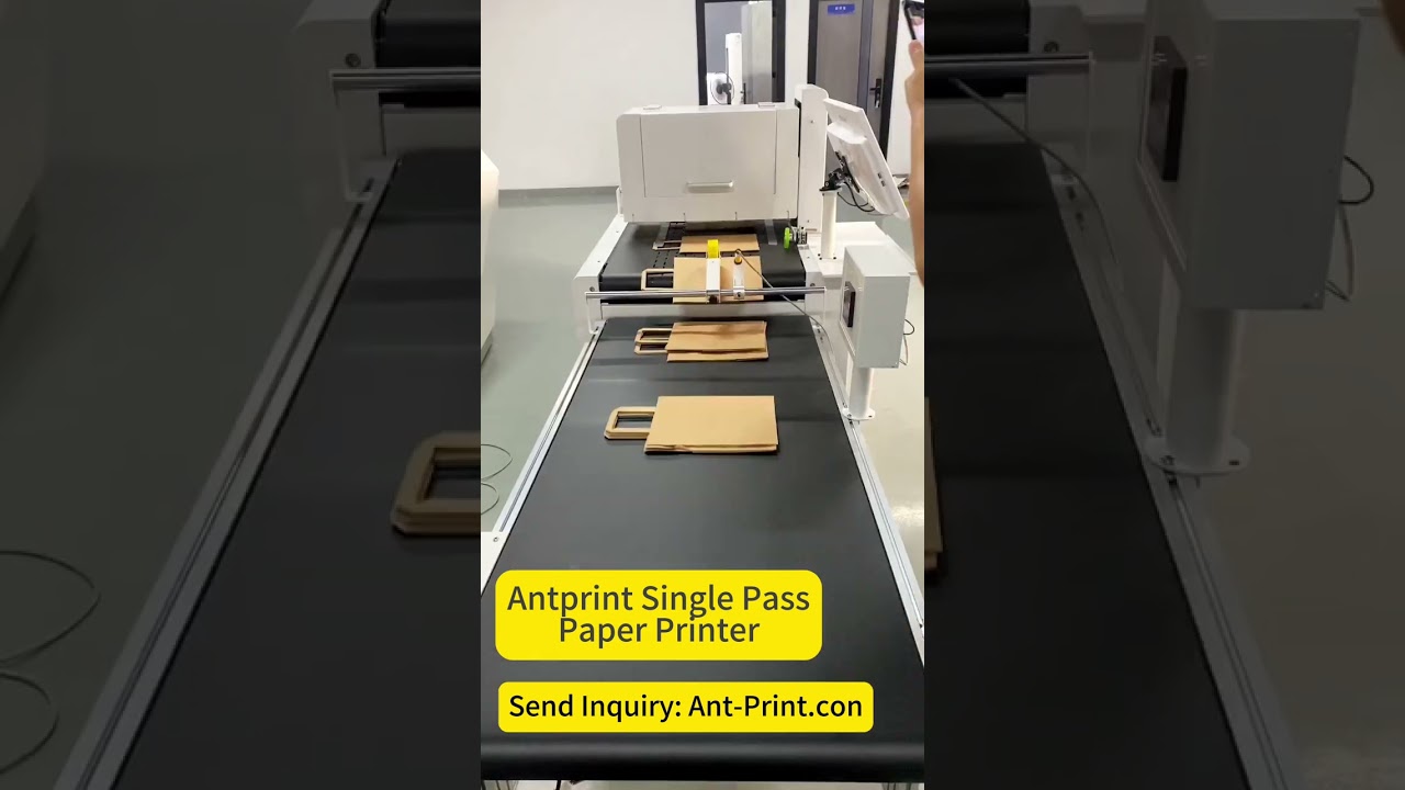 How To Print On Paper Bags | Custom Paper Bag Printing Machine | AntPrint Single Pass Printer