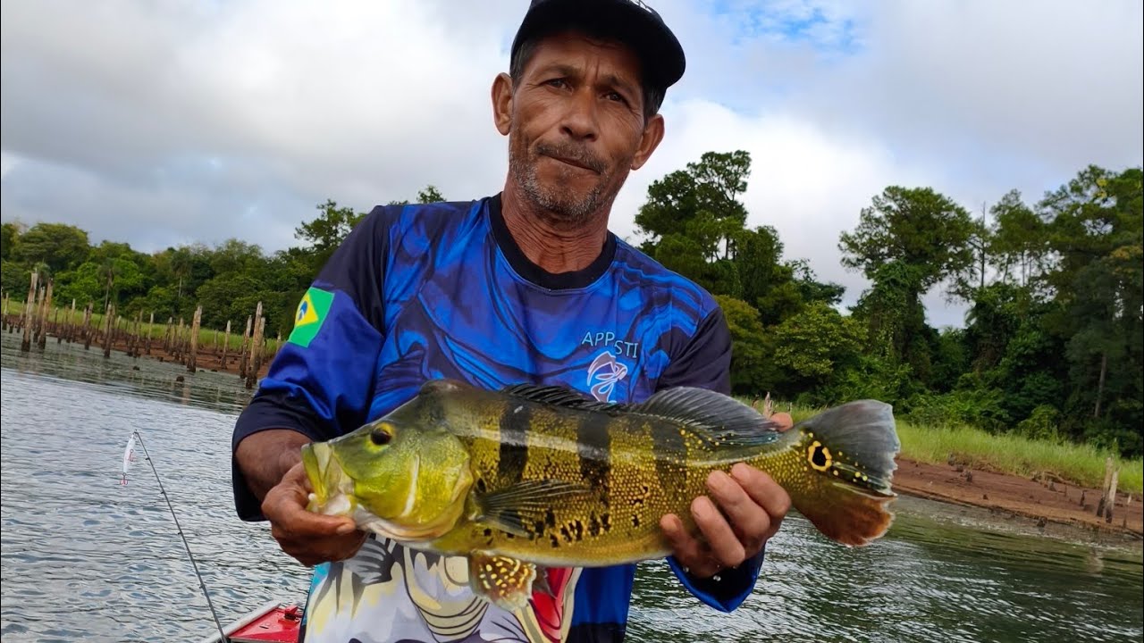 Muito tucunaré  no lago de Itaipu 