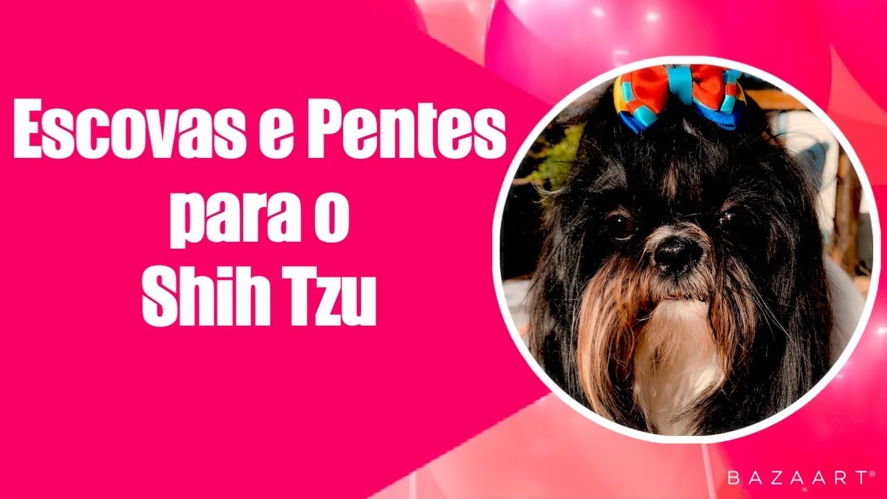 QUAL É A MELHOR ESCOVA PARA SHIHTZU
