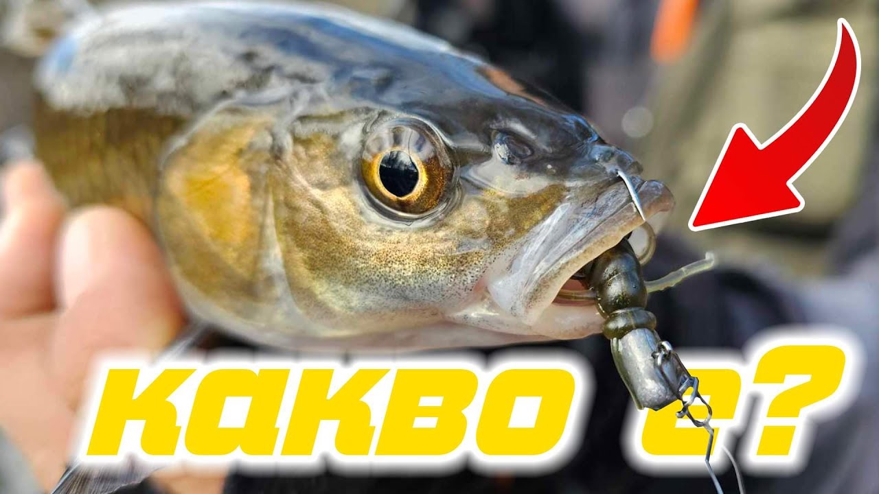 КАК ДА ЛОВИМ ЗИМНО ВРЕМЕ?КЕФАЛИ НА СИЛИКОНОВИ ПРИМАМКИ.