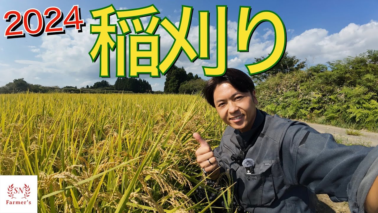 【稲刈りスタート】３反歩の田んぼ、専務は何分で刈れるのか！？ISEKI　コンバイン　ジャパン６９８