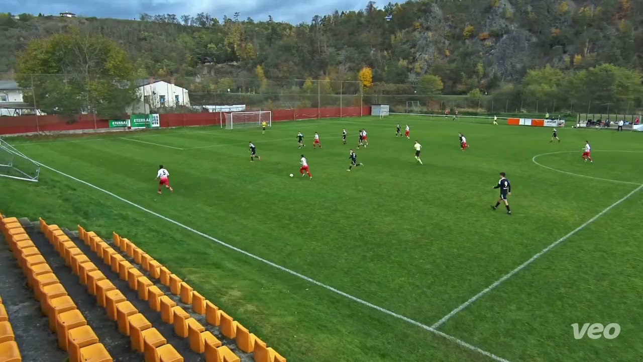 PFA Štěchovice Petřín Plzeň B