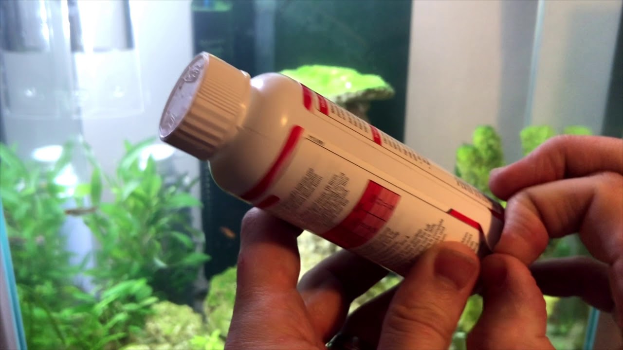 HELP !!! My fish have White Spot!!!