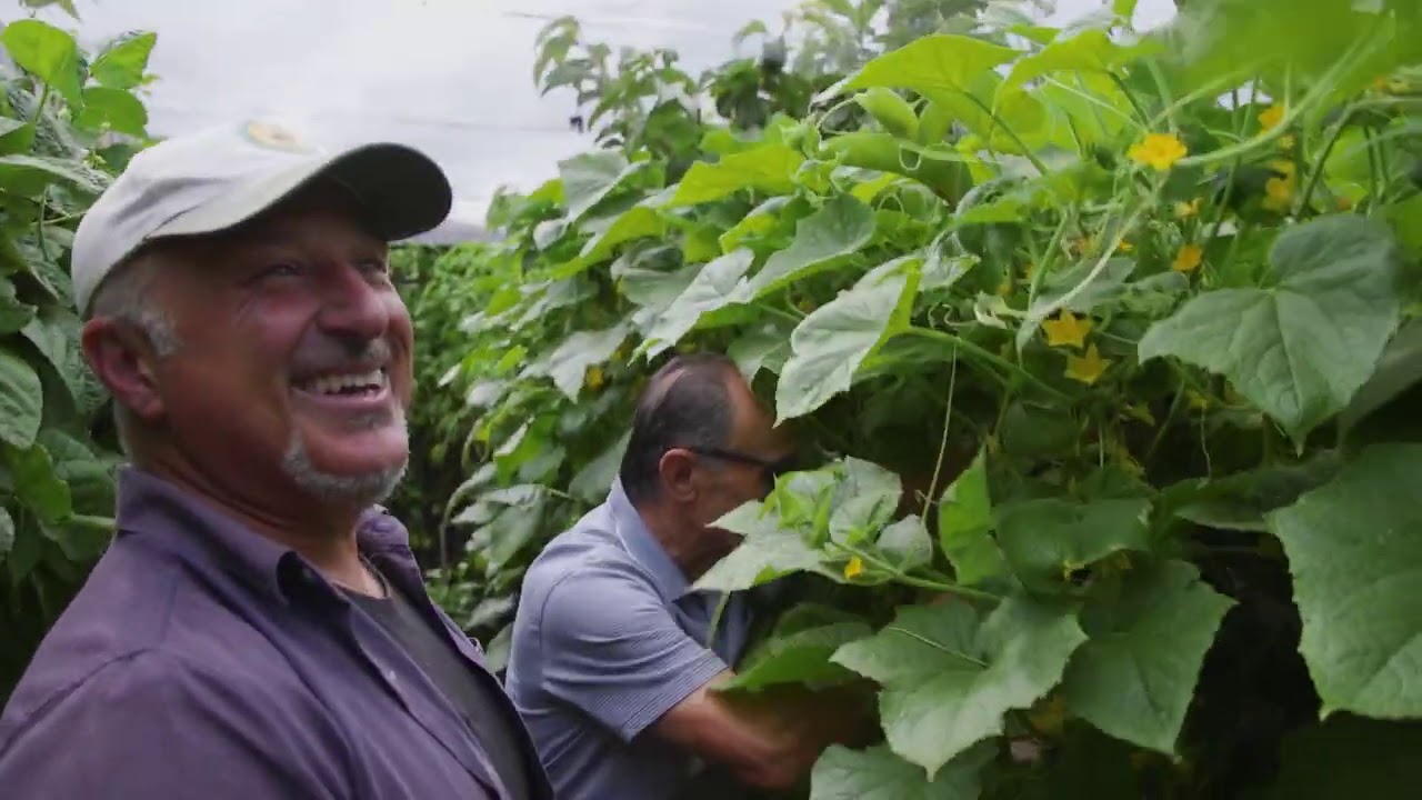 Bruno and Coni from Essendon   Part 2