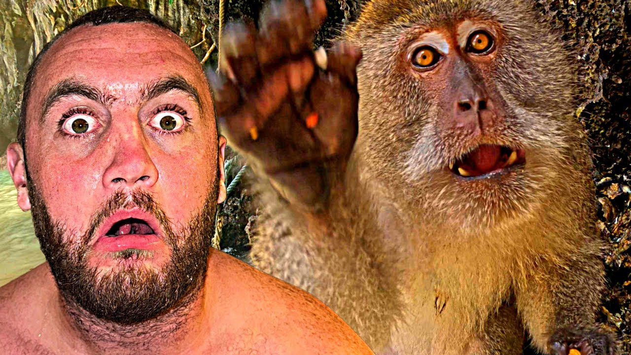 Monkey STEALS My Camera In Thailand!