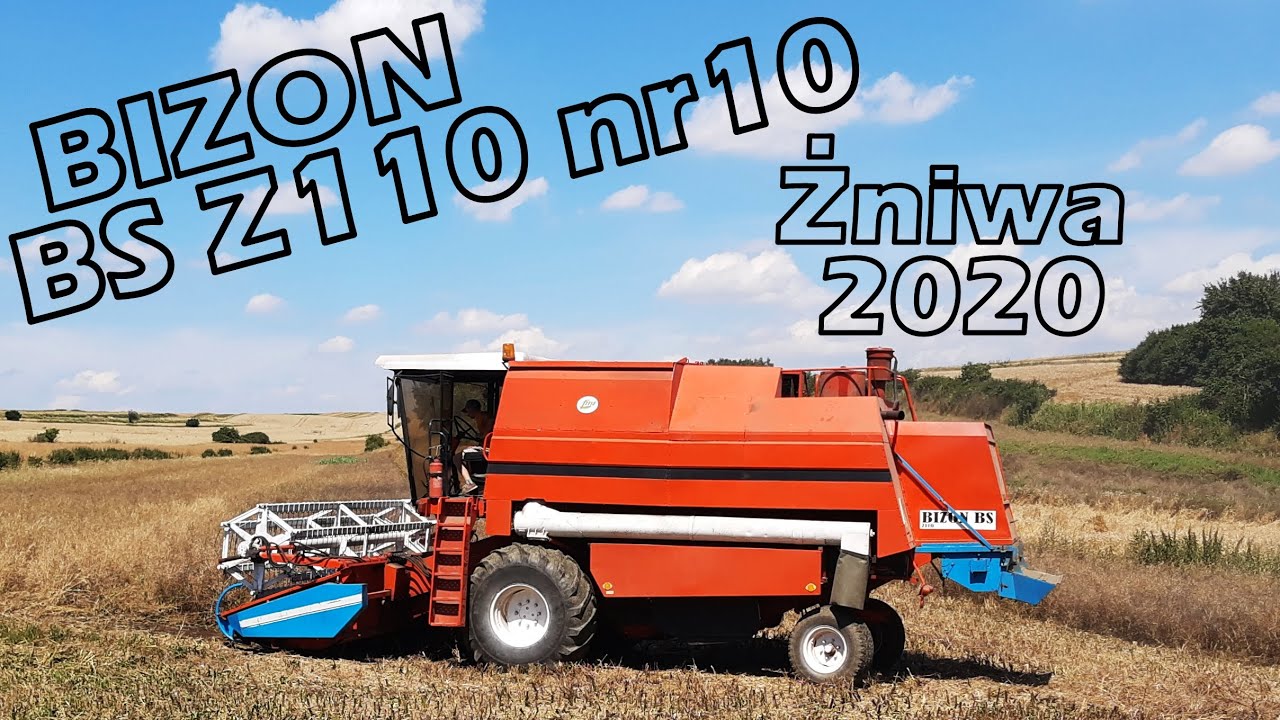 Żniwa 2020 Bizon BS Z110 Rzepak; Pszenżyto | MrUrsusPL | daniel koltun |