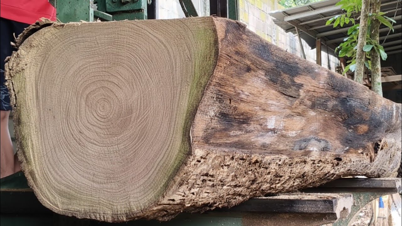 🪾The beauty of teak fiber is unmatched 🪾