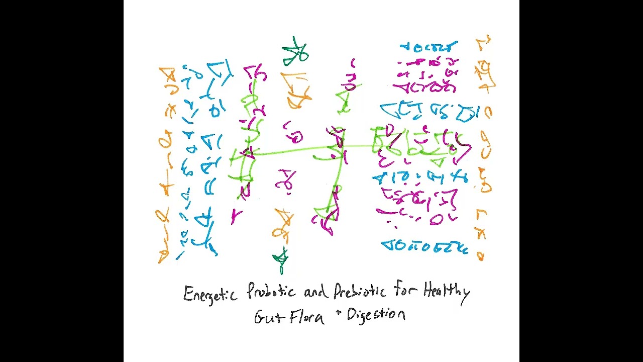 Light Language: Energetic Probiotic and Prebiotic for Healthy Gut Flora