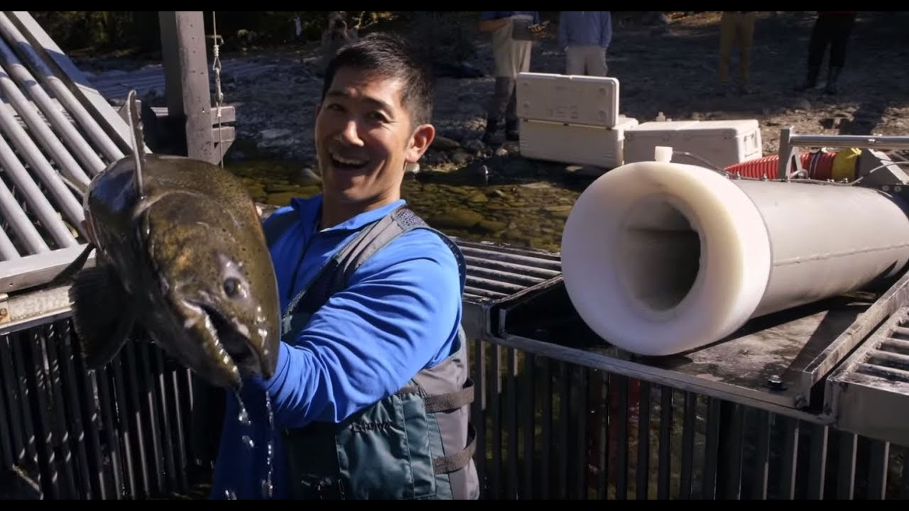 Salmon Cannon | The Henry Ford’s Innovation Nation