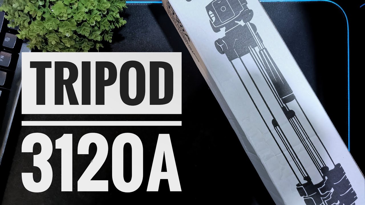 Unboxing Tripod 3120A, Setup & Review - My new gear! [Shopee Malaysia]