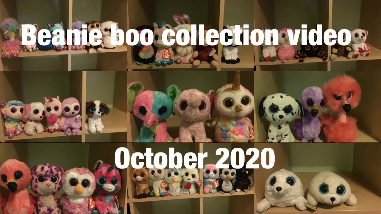 Beanie boo collection video (October 2020)