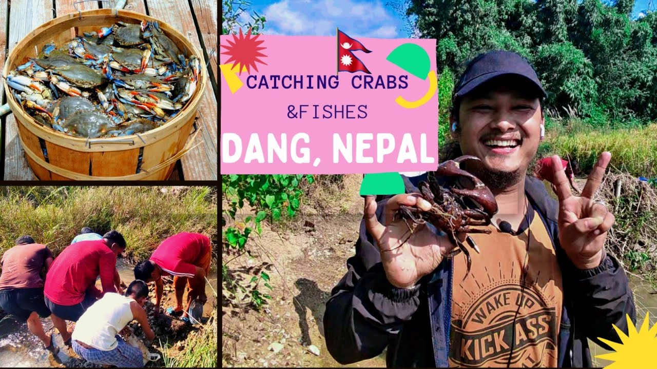 Catching Crabs & Fishes In Dang, Nepal: Let's Travel With RJ Styles