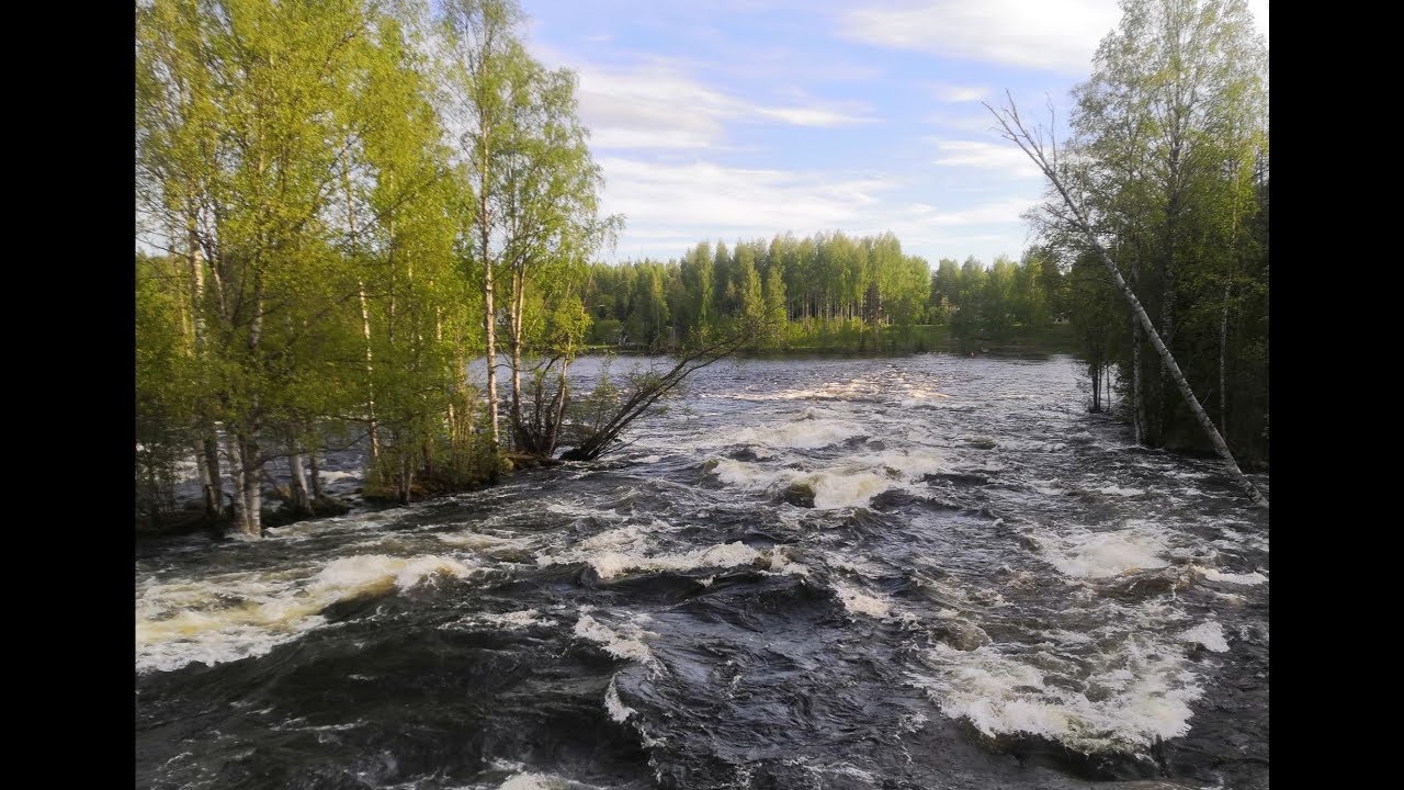 Brown trout fishing in extremely strong current / Taimenen kalastusta erittäin voimakkaassa virrassa