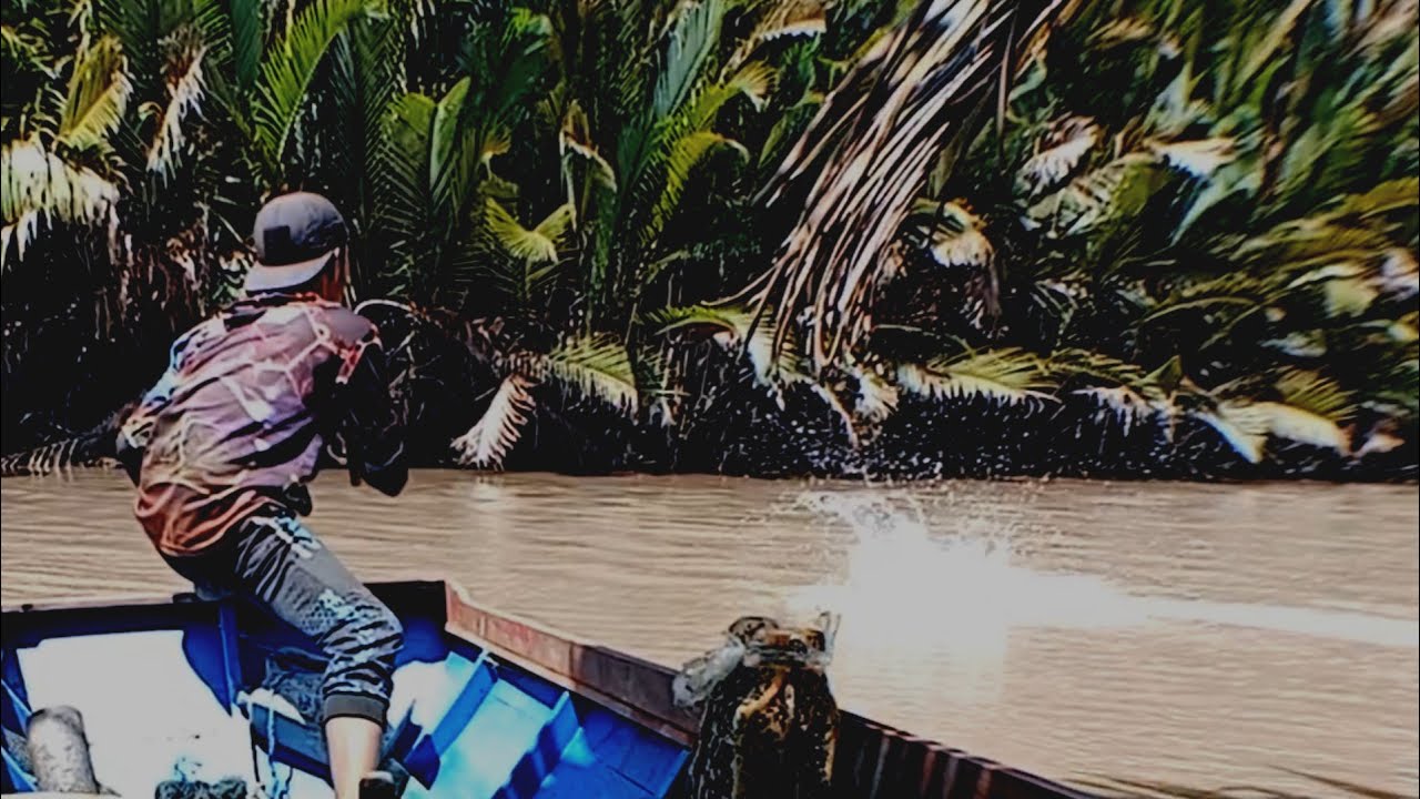 tak terkendali tarikan kuat sang predator air payau menyiksa piranti mancing udang galah