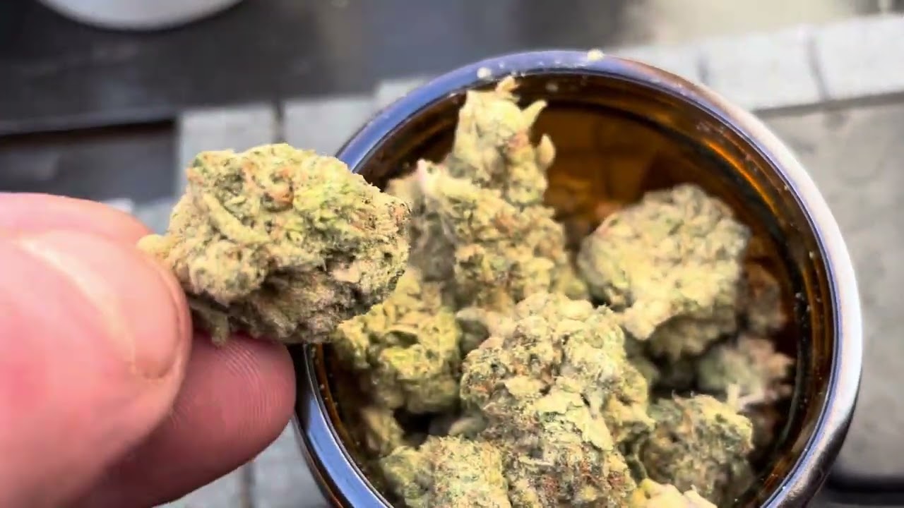 Avaay Khalifa mint