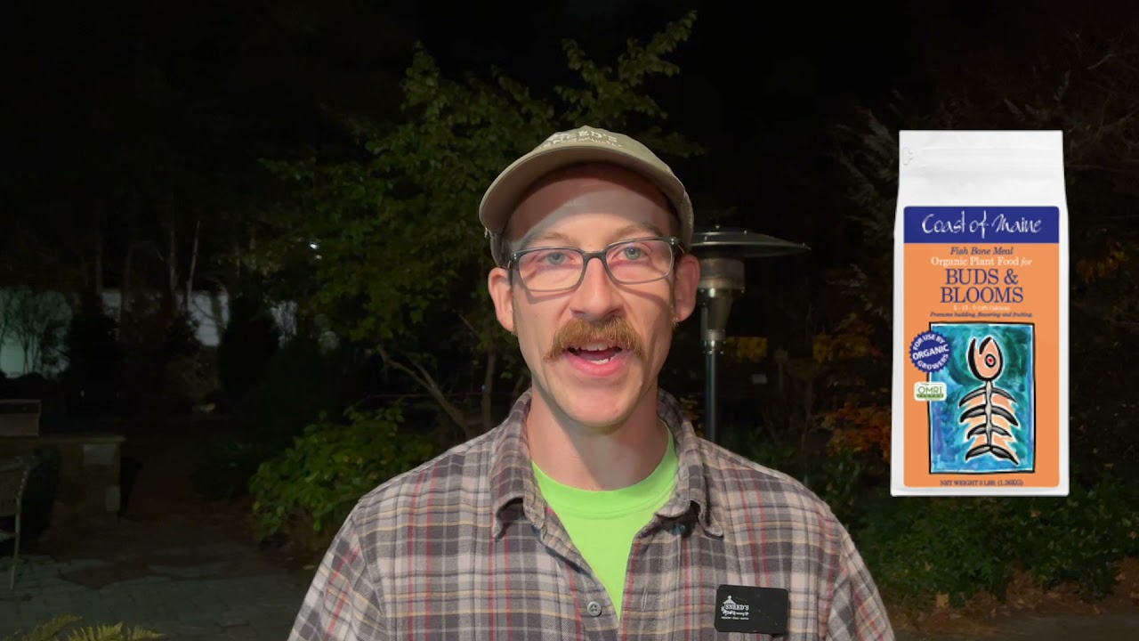 Sneed's Cannabis Club Teaching, Learning, Growing