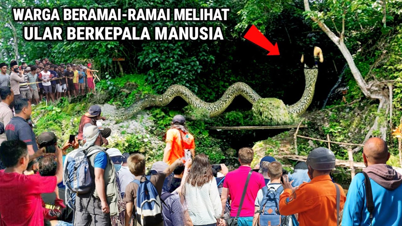 Heboh !! Warga Beramai-ramai Melihat Kemunculan Ular Berkepala Manusia 