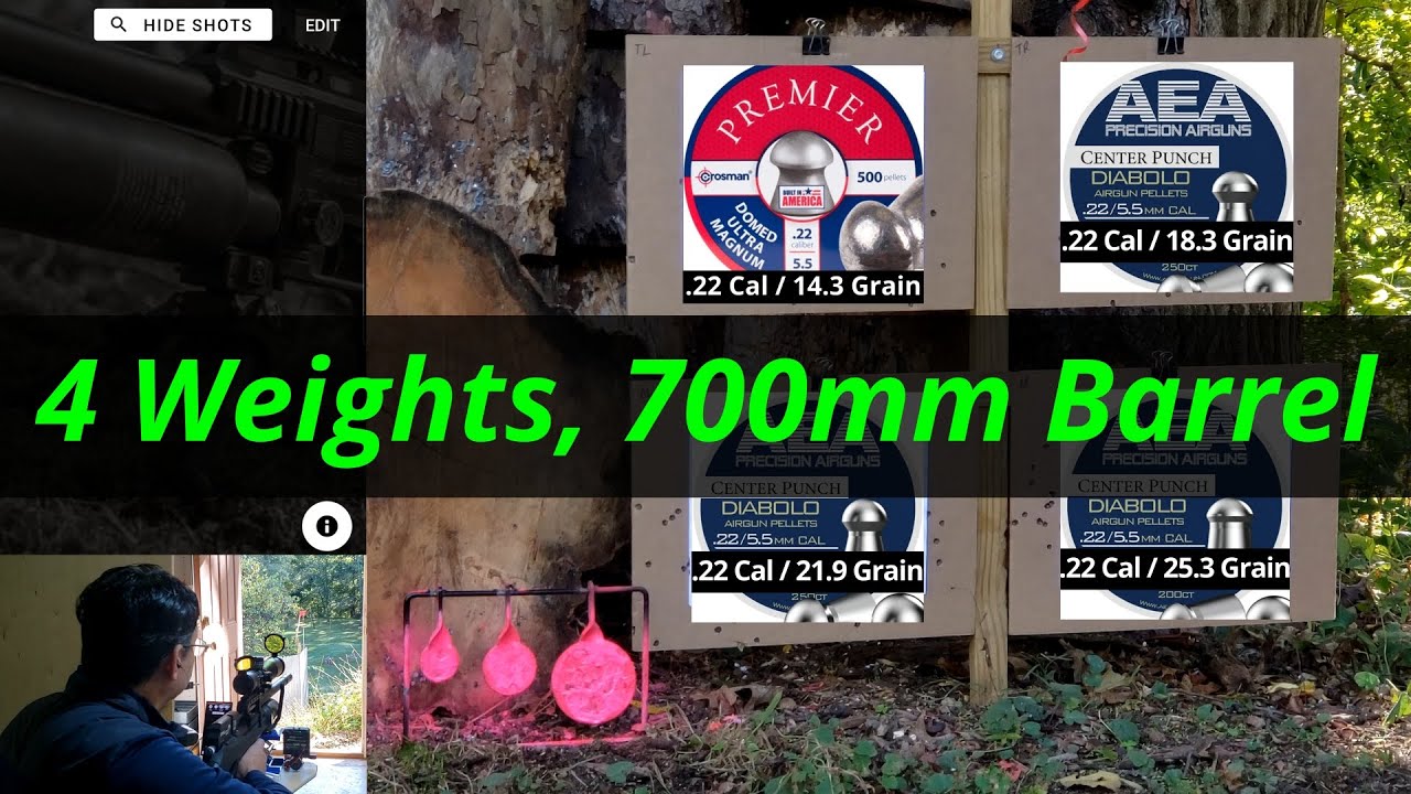 .22 Cal x 700 Barrel | FX Wildcat | Quick Tune | 100 Yards | Session #56