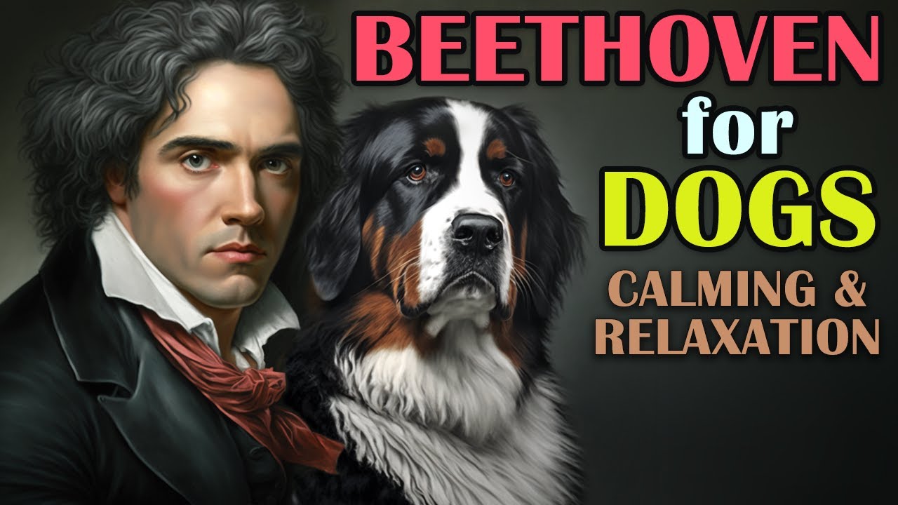 Classical Music for Dogs, Separation Anxiety Music for Dogs, Dogs Music Therapy