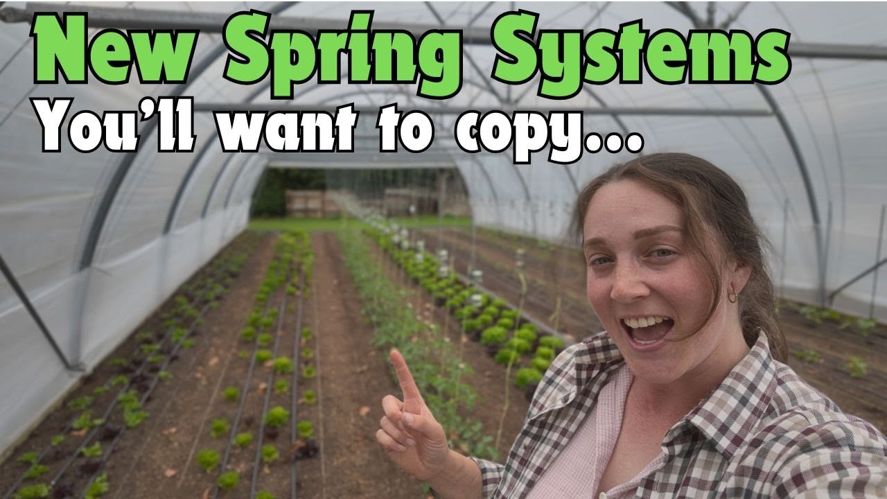 This Tomato System Changed EVERYTHING - Spring Tunnel Tour!