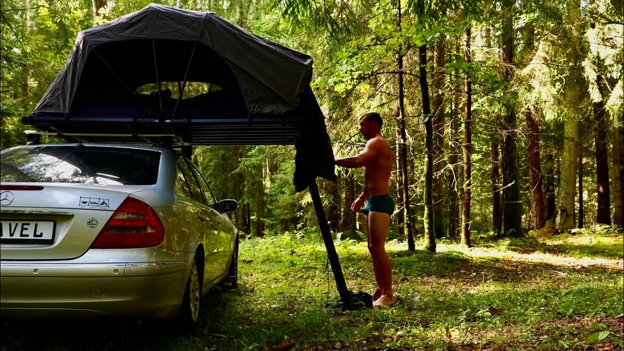 A Full Day in the Forest Alone - Camping |Training | Eating Mushrooms and Spending the Night