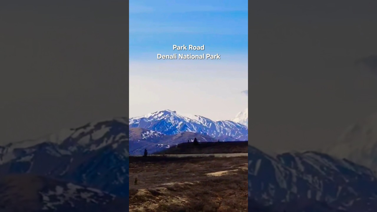 Alaska ULTIMATE Denali Road Trip 