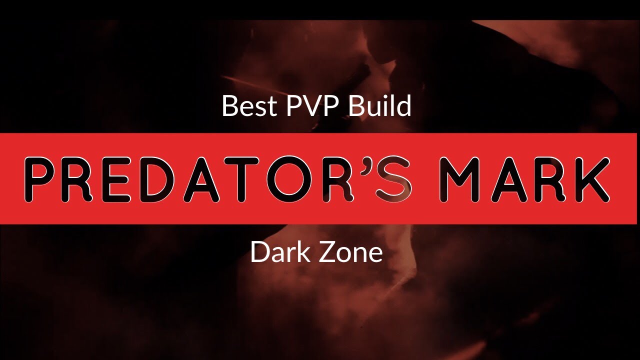 The Division 1.8.3| Best Solo DZ Build | Predators Mark | PVP