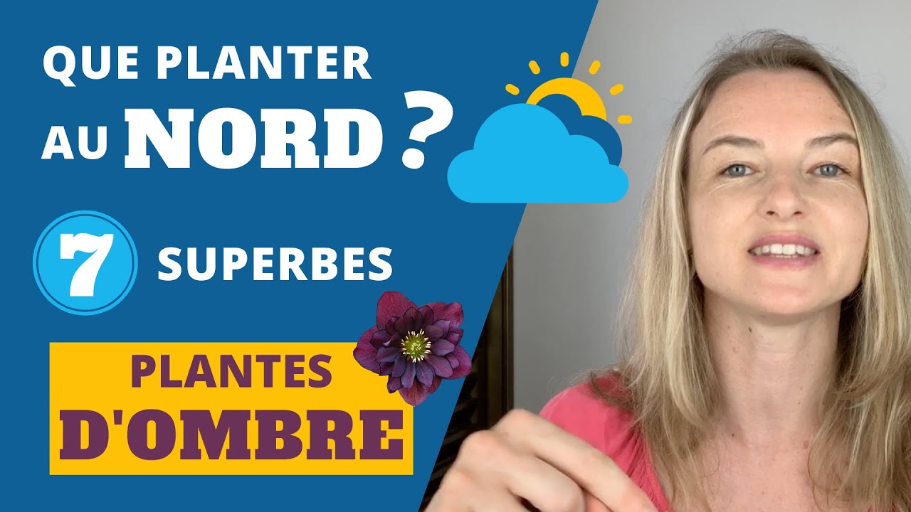 Que planter au Nord ? 7 superbes PLANTES D'OMBRE ou MI OMBRE