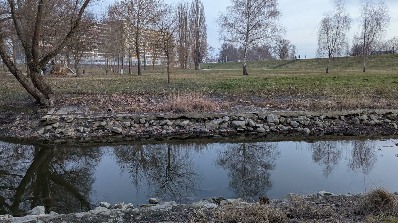 Megvallás 2026.02.08 - okos mint a kígyó és szelíd mint a galamb konkrét példa