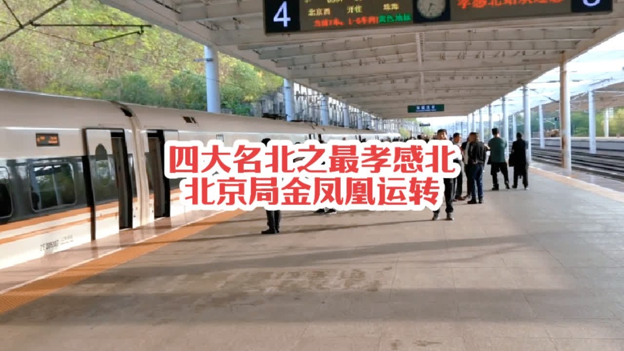 #火车迷爱好者 实拍四大名北之最孝感北站，北京局金凤凰运转记录#沿途随拍 #复兴号 #高铁🚅 #铁路摄影