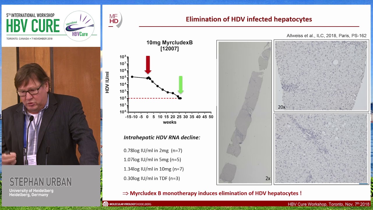 Clinical progress of the entry inhibitor Myrcludex B | Stephan Urban