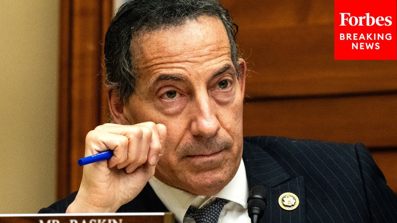 Jamie Raskin Asks Experts About Potential 'Corruption' Interfering In Antitrust Decisions