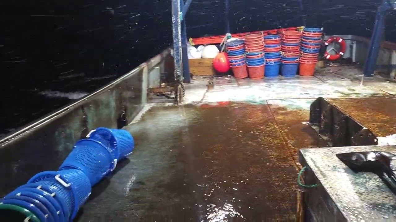 Pesca en el mar con el mar bien una pesca muy peligrosa y arriesgada#scallops