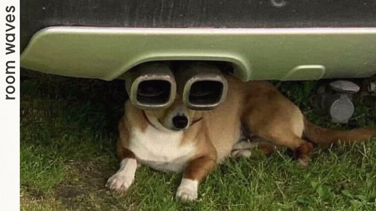 on stakeout