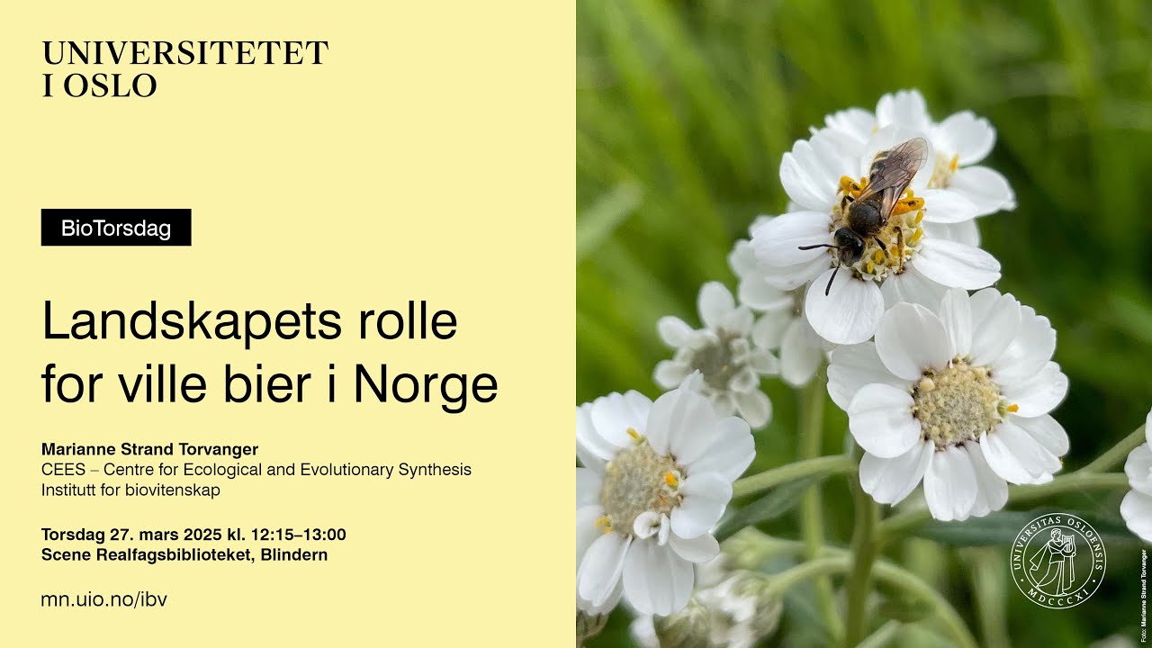 BioTorsdag: Landskapets rolle for ville bier i Norge