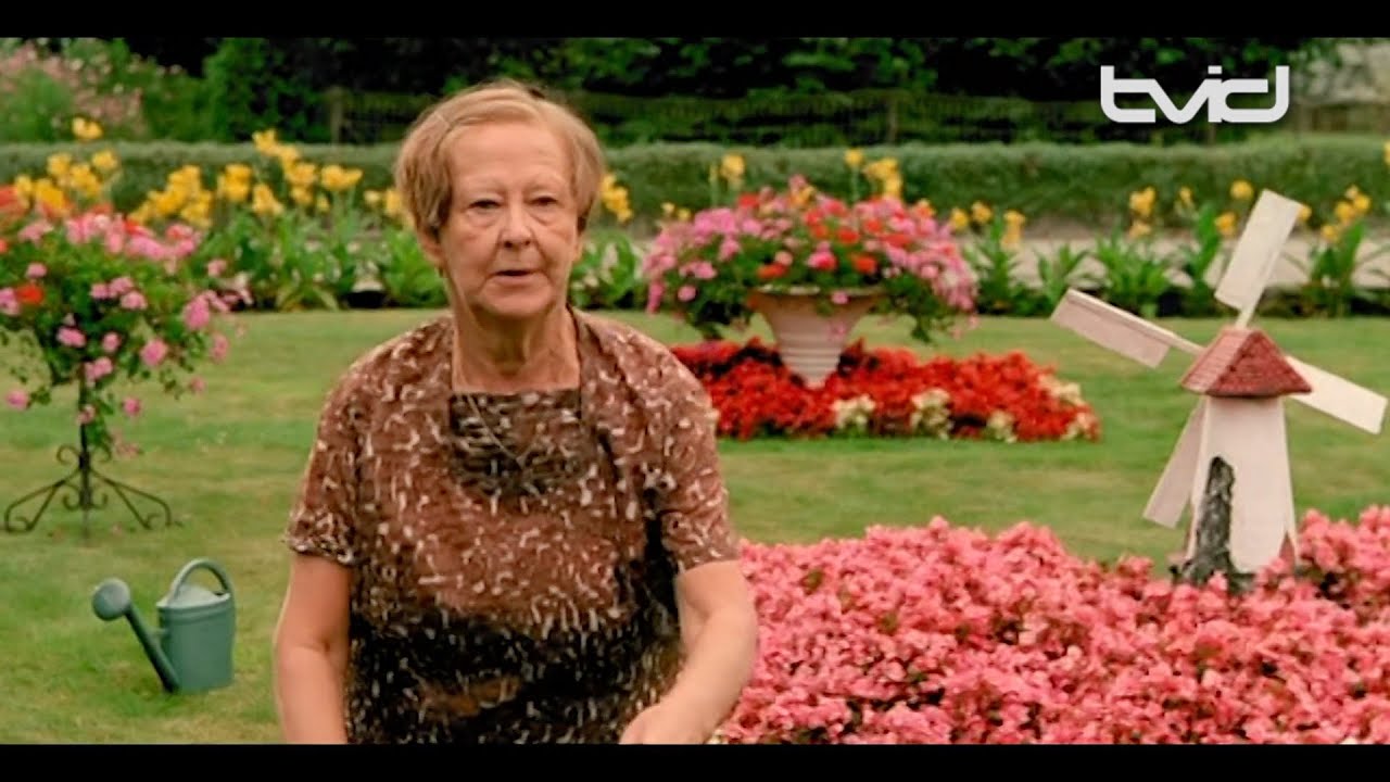 Dora van der Groen overleden