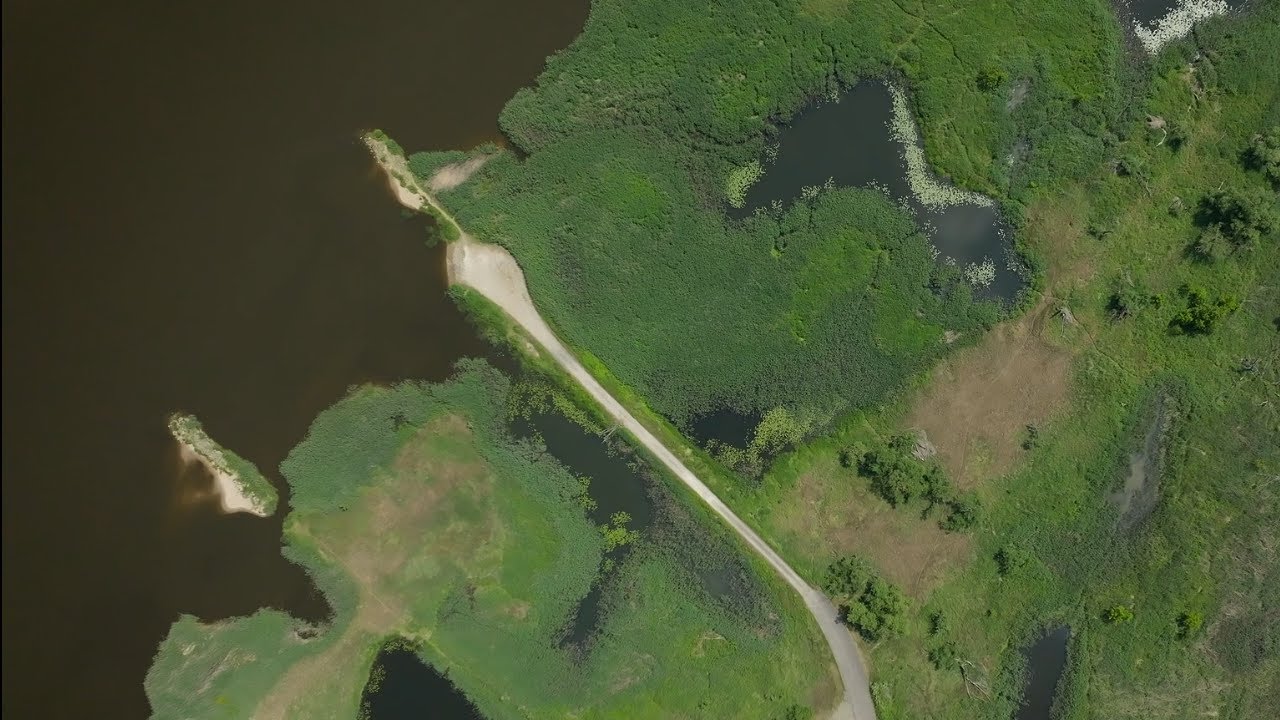 Fischsterben in der Oder: Was braucht der Fluss heute?
