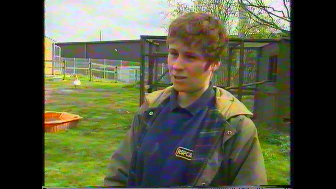 Pet Rescue - Channel 4 - 1998
