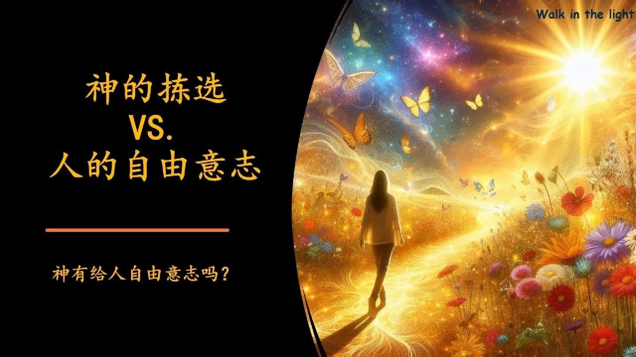 神的预定与人的自由意志矛盾吗？