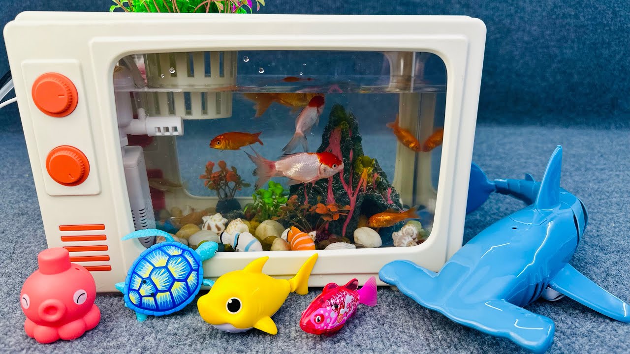 Satisfied unboxing aquarium robot fish magnetic fish shark fishing toy set ASMR | Toy evaluation